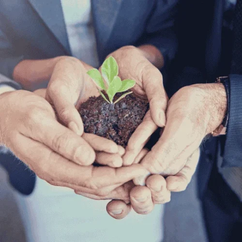 Untitled (1920 x 1080 px) (3)